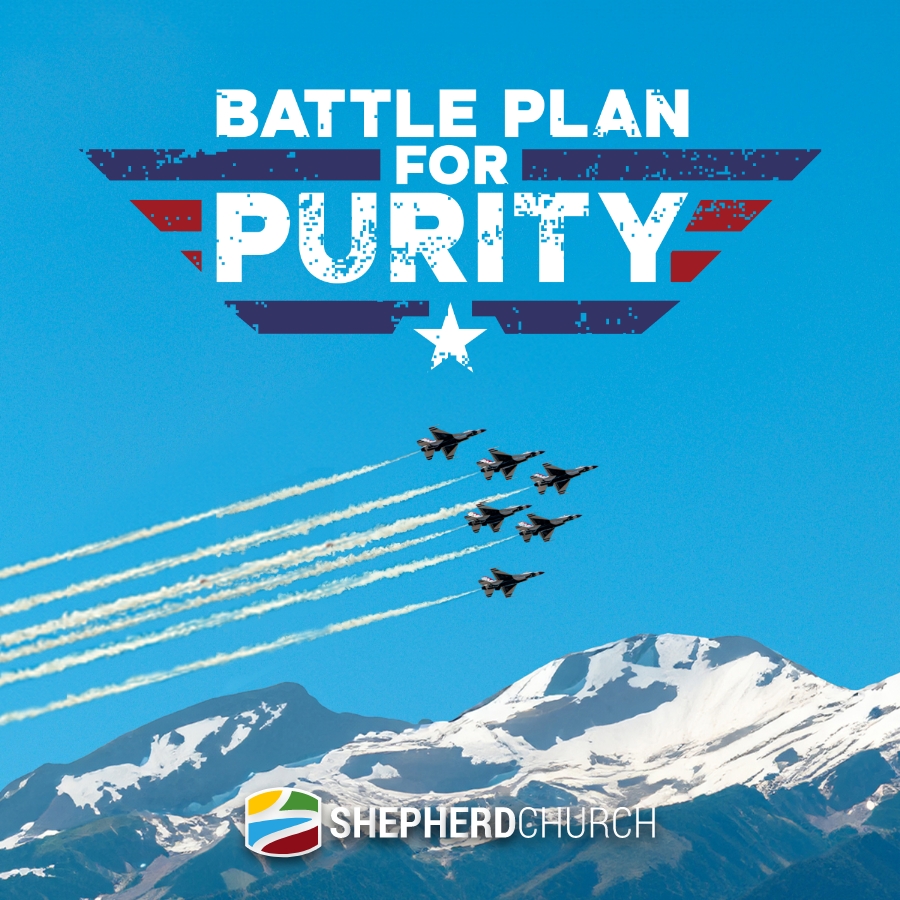 Battle Plan for Purity ~ Series